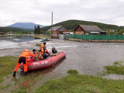 Спасатели вытащили из люка провалившуюся собаку