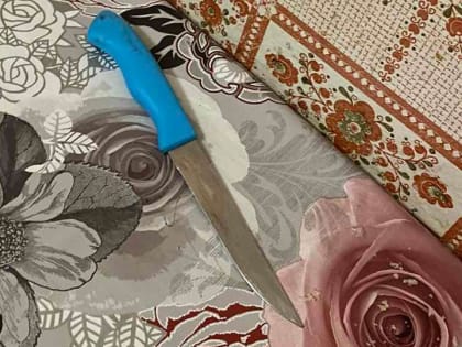 8 Марта. Теща пырнула зятя ножом в грудь во время нарезки салата
