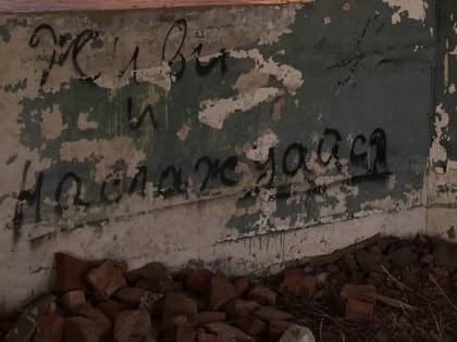 В Заводском районе мать не лечила и не учила сыновей. Возбуждено дело