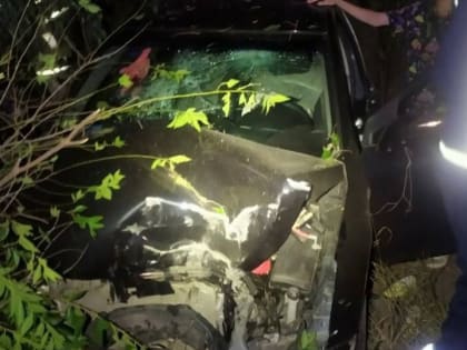 На Брянской "Шевроле" вылетел в кювет. Женщина погибла, подросток и мужчина в больнице