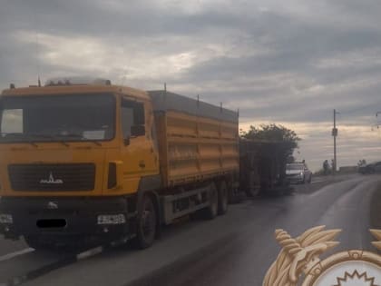 ДТП в Вольском районе: пострадал 9-летний мальчик