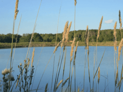 Теплый день с северо-восточным ветром ожидает краснокутцев в воскресенье