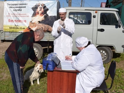 Саратовские ветеринары проведут выездные вакцинации домашних животных против бешенства