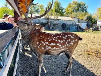Увлекательное путешествие по родному краю