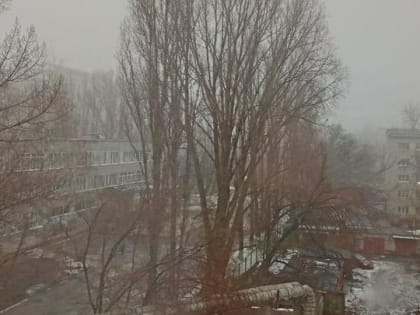 В Саратовскую область пришло потепление
