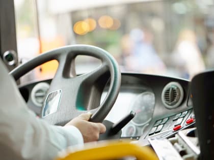 В этом году 14 многодетных семей Саратовской области получат автомобили