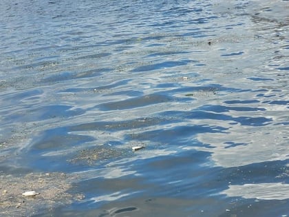 Полицейские извлекли из саратовской реки труп 55-летнего мужчины