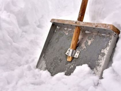 Лопатой по голове. Ссора пенсионерки и дворника в Солнечном обернулась уголовным делом