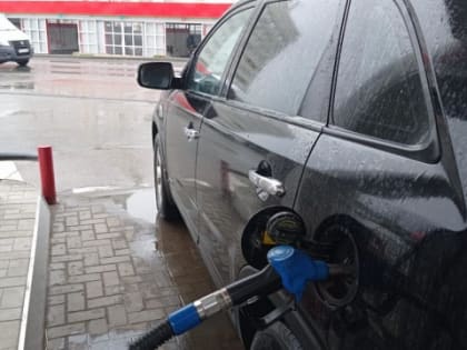 В Саратовской области за месяц выросли цены на все виды топлива