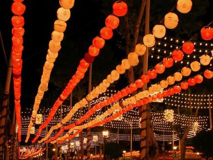 В Балаковском районе субсидии необоснованно использовали на покупку гирлянды