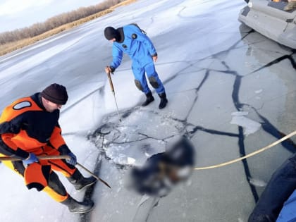 Под Энгельсом из реки достали тело мужчины