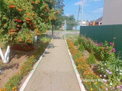 В Марксе подвели итоги конкурса «Лучшая клумба»