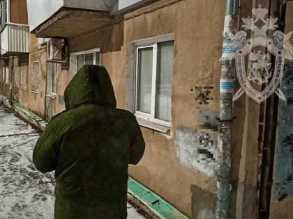 Медик скорой помощи и две женщины в Саратове попали в больницу с отравлением угарным газом