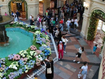 Страхование мест массового скопления людей предложили сделать квази-обязательным