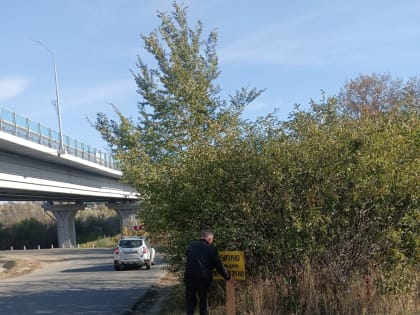 В Гагаринском районе проводятся мероприятия по очистке территории от рекламных конструкций и объявлений 