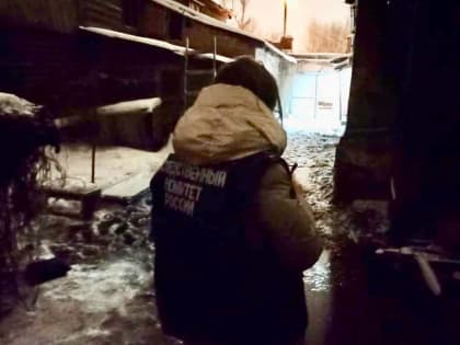 В Балаково на пожаре погиб пенсионер
