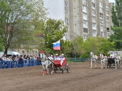 Роман Бусаргин предложил создать предприятие на базе саратовского ипподрома