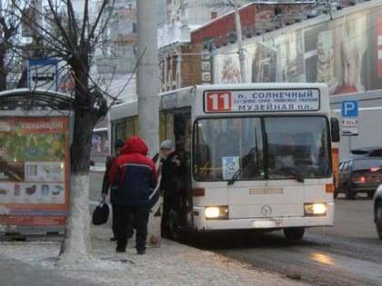 "Новогодний автобус". ГИБДД сняла с рейсов девять машин