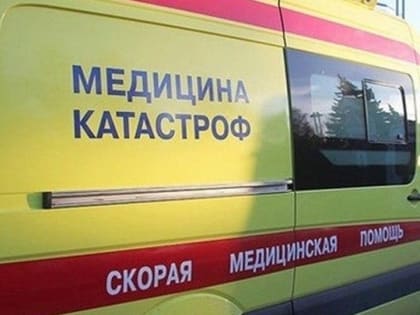 В Саратовской области разбились планеристы