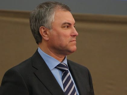 Володин предложил Мишустину проработать вопрос возрождения пединститутов