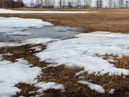 Жителей Саратовской области ждет оттепельный день без снега