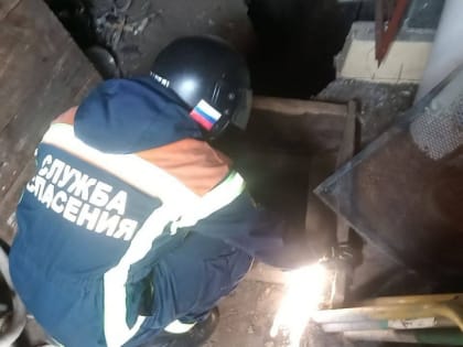 Женщина упала в погреб и не смогла выбраться. На помощь пришли спасатели