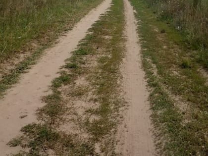 На полевой дороге под Саратовом перевернулась "Шевроле Нива". Водитель погиб