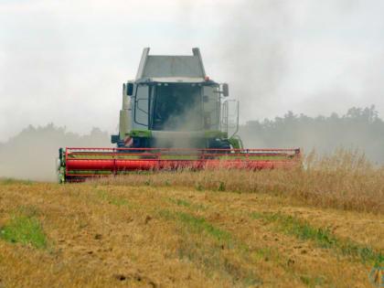 Аткарские фермеры намолачивают с одного гектара по 39 центнеров зерна