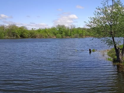 В Саратове прохожие нашли в пруду тело мужчины