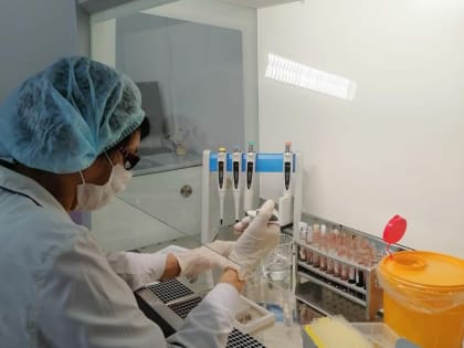 Специалисты Новоузенской ветеринарной лаборатории впервые провели диагностические исследования на бруцеллез собак