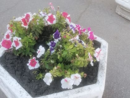 ООО "Благоустройство"  наводит порядок