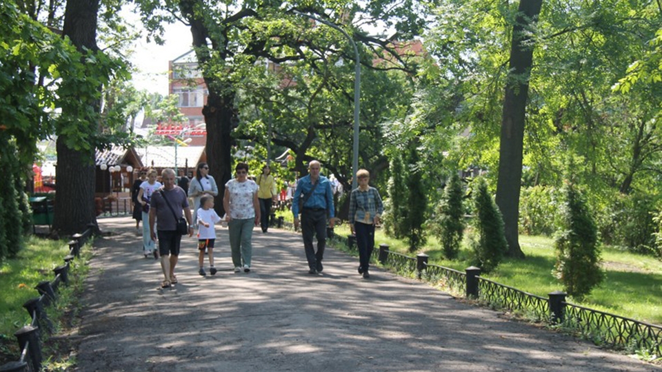 Городской парк саратов фото