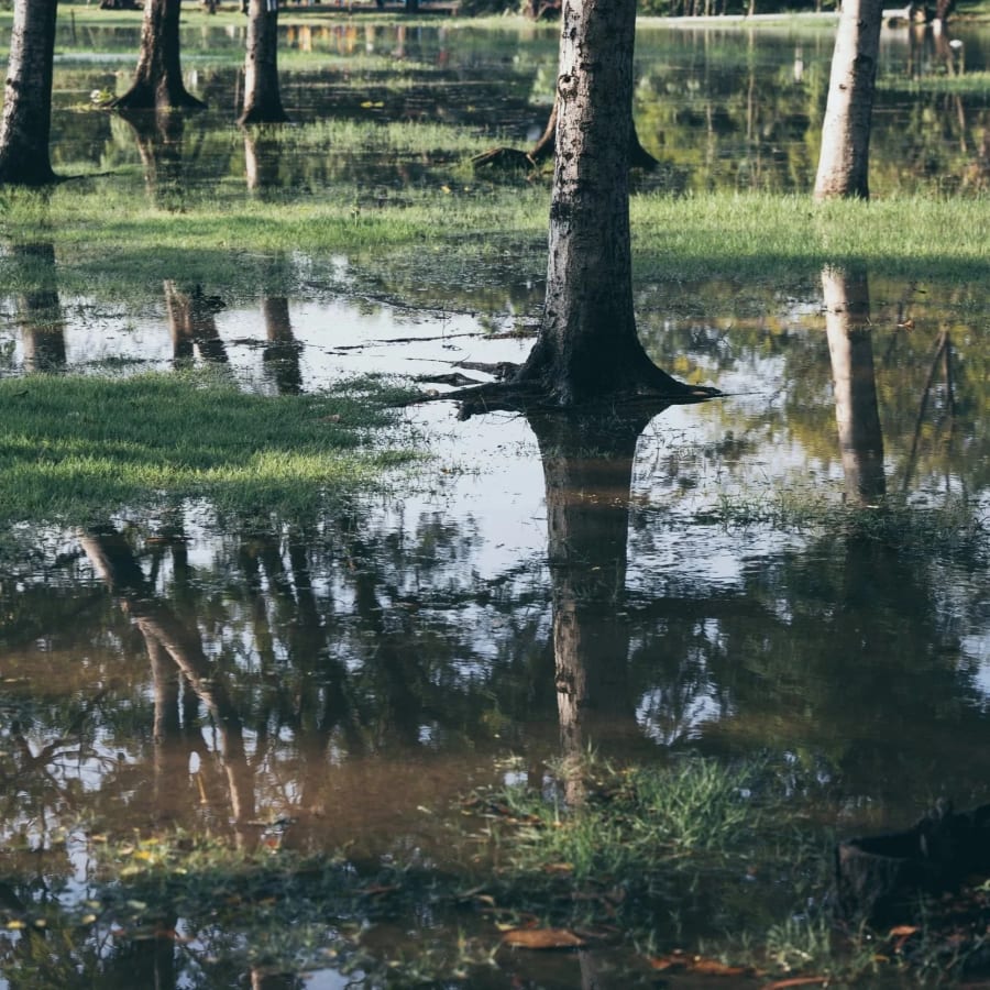 A flooded Kansas City backyard with poor drainage