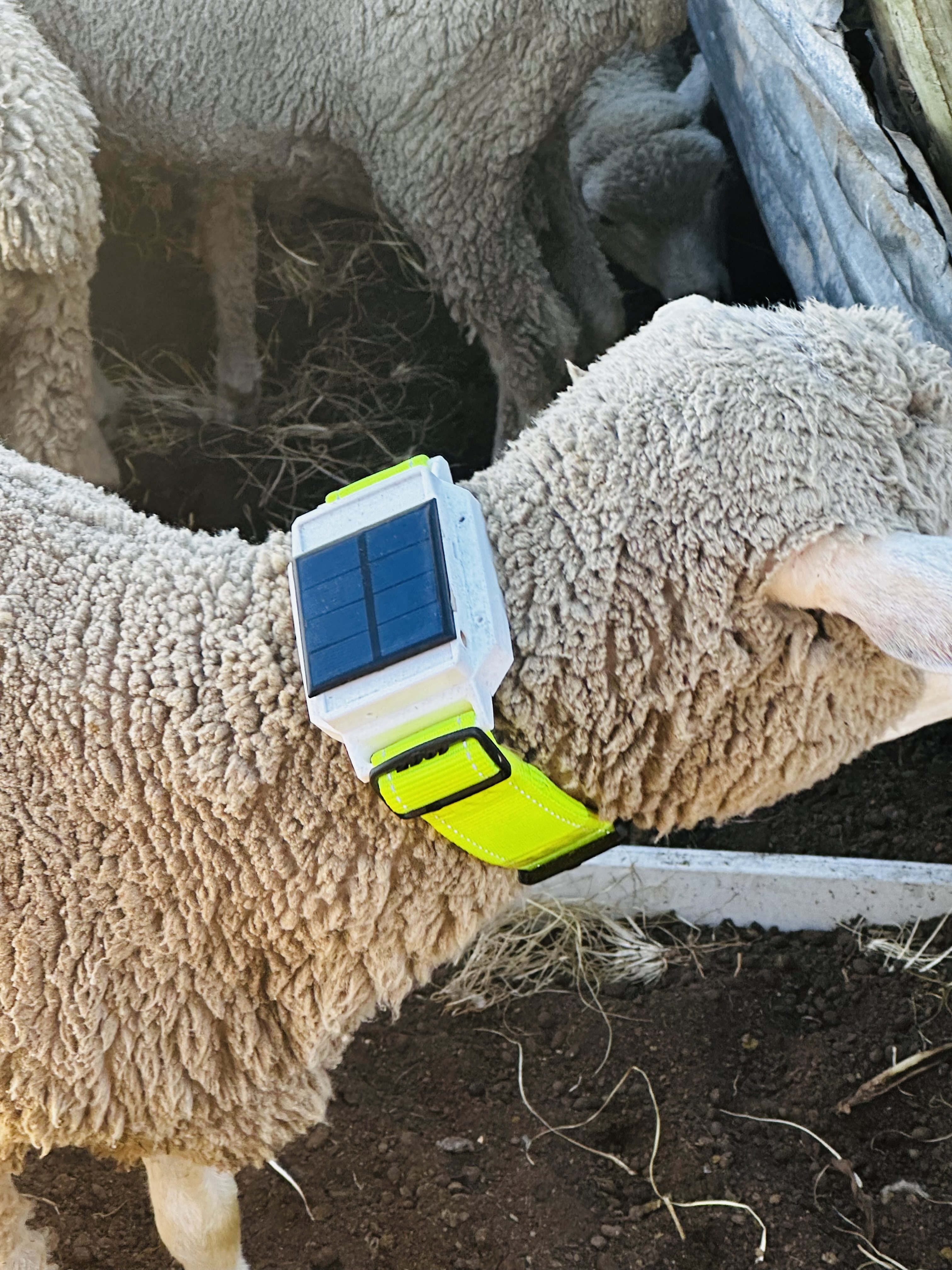 Solar GPS tracking prototype in the field