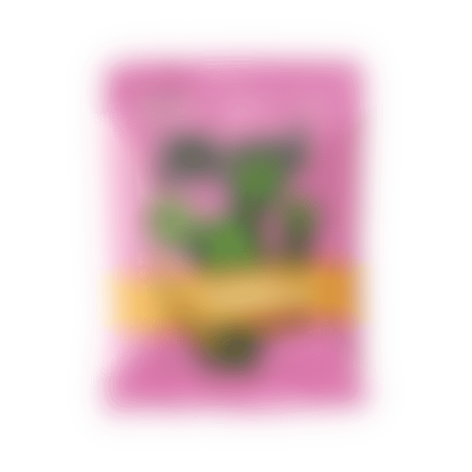 Churro Cactus Sticks