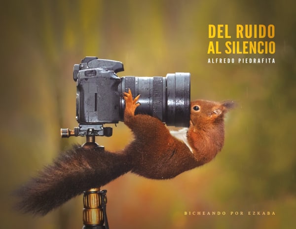 Portada de Del ruido al silencio. Bichando por Ezkaba, de Alfredo Piedrafita