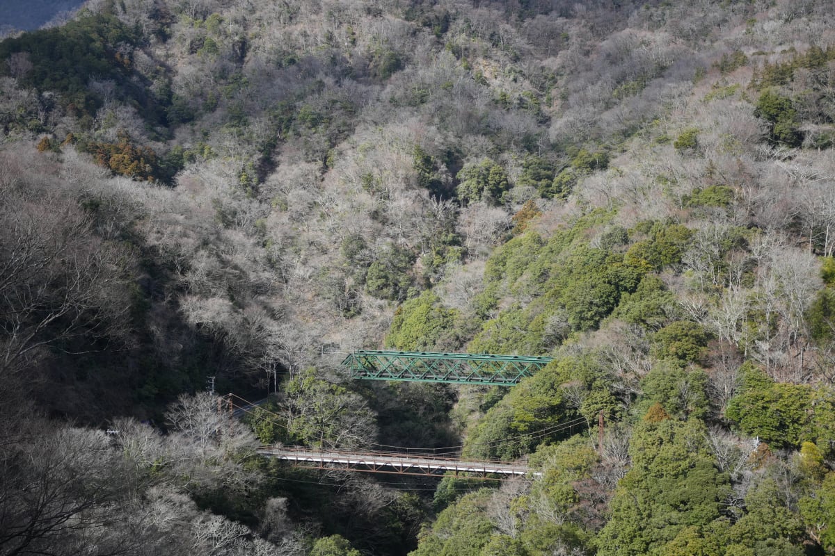 箱根登山鉄道からの景色