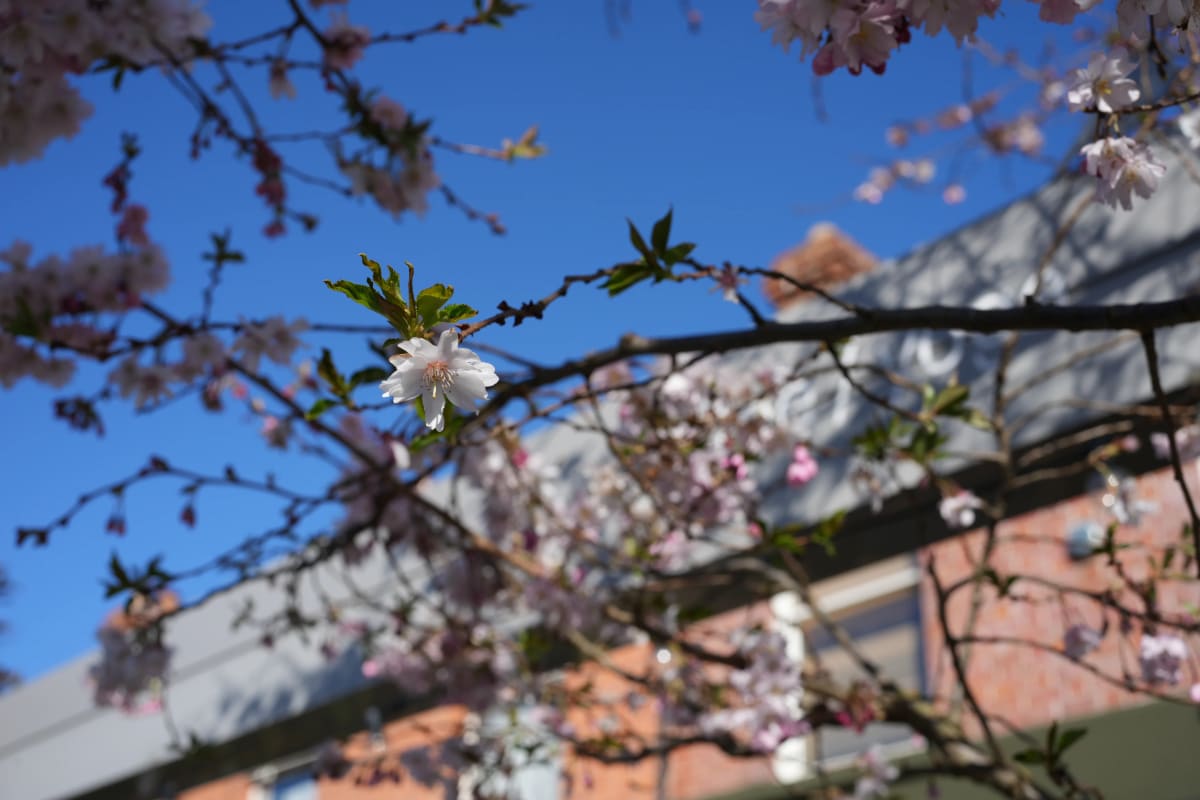 Diary 2026-04-06 Pension, Tax and more