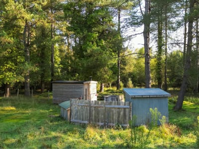 The Forest Sauna at Happy River outdoor sauna in Wareham, Dorset, South