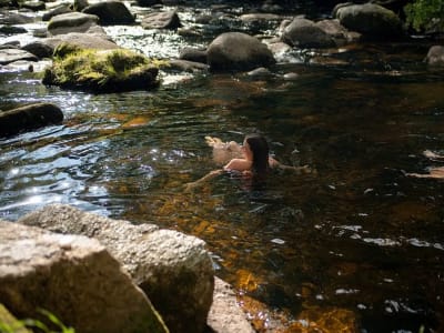 Wilder Sauna, Dartmeet outdoor sauna in Dartmoor, Devon, South West