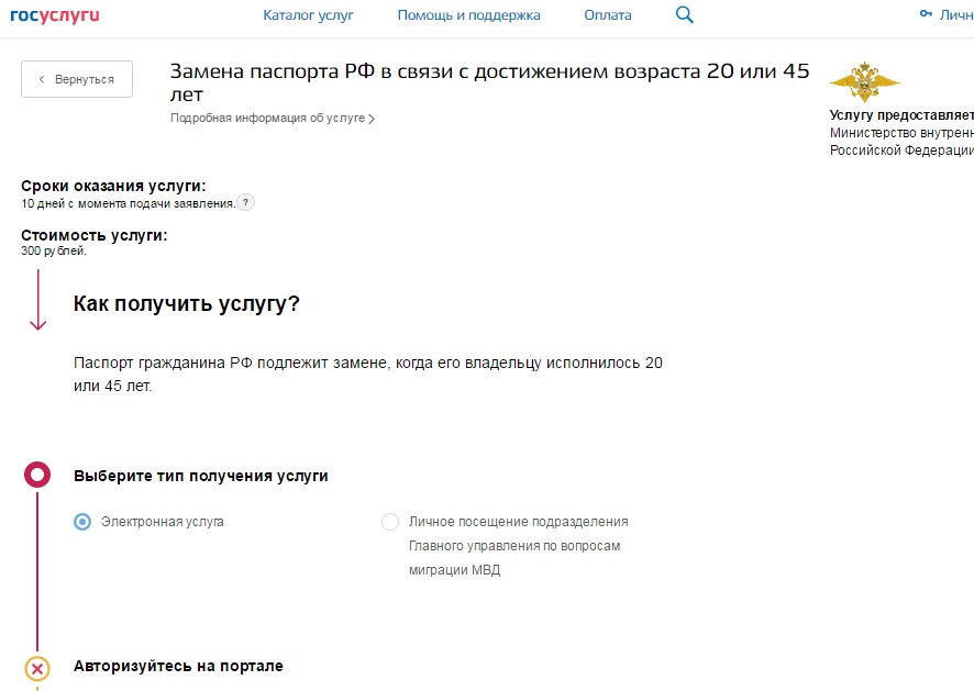 Оплата замены. Госуслуги поменять паспорт. Госуслуги замена паспорта. Госуслуги заявка на смену паспорта. Замена паспорта 20 и 45 лет.