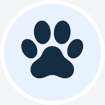 مستلزمات الحيوانات