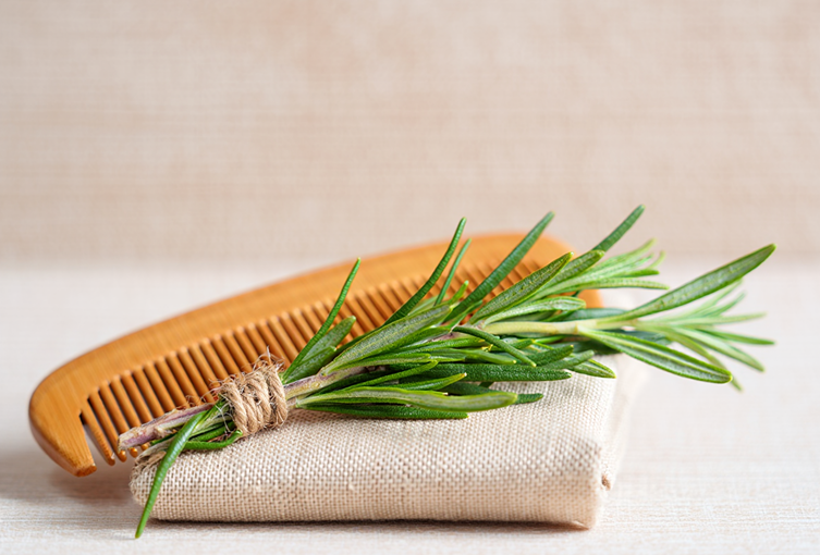 تساقط الشعر وفوائد إكليل الجبل