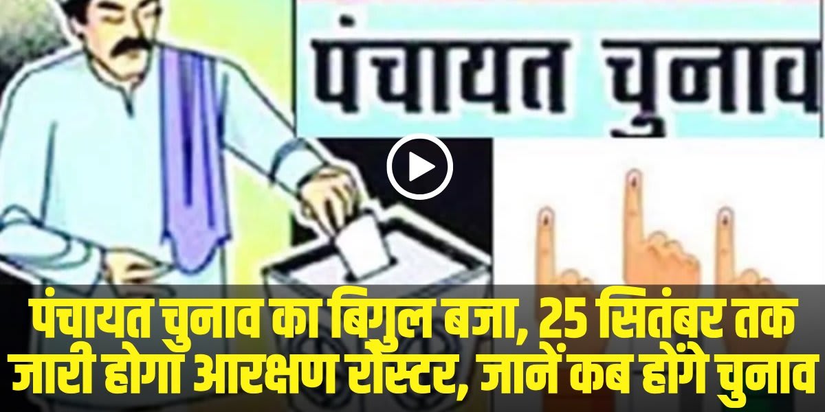 Himachal Panchayat Chunav 2025 | Source: Social Media)