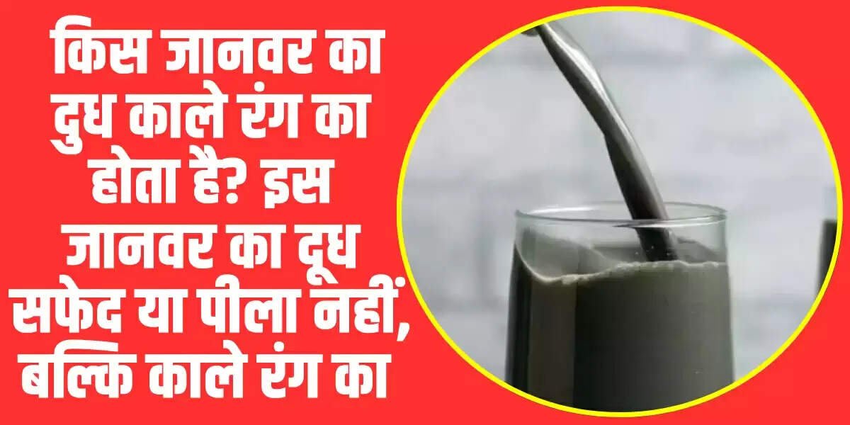 Black Milk: किस जानवर का दुध काले रंग का होता है? काले रंग का दूध देने वाला अनोखा जानवर