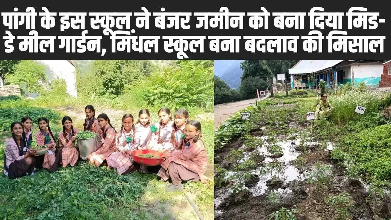 Chamba Pangi News: पांगी के इस स्कूल ने बंजर जमीन को बना दिया मिड-डे मील गार्डन, मिंधल स्कूल बना बदलाव की मिसाल