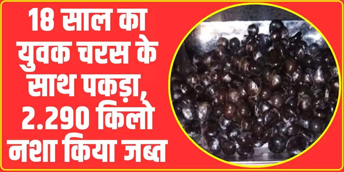 Himachal News:18 साल का युवक चरस के साथ पकड़ा, 2.290 किलो नशा किया जब्त