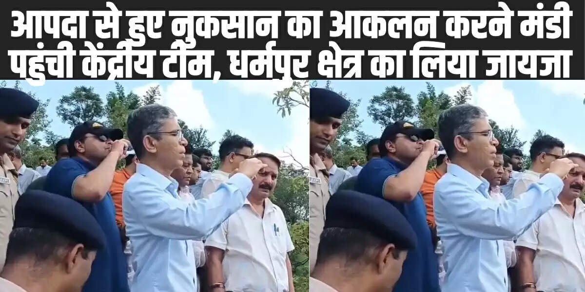 Himachal News: हिमाचल में आपदा से हुए नुकसान का आकलन करने मंडी पहुंची केंद्रीय टीम