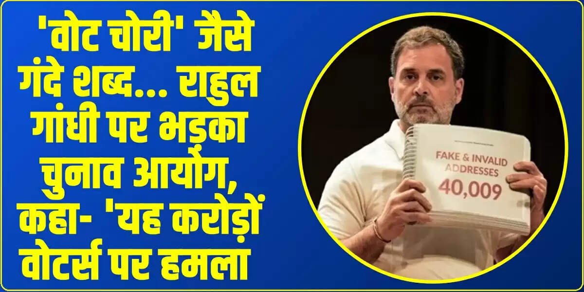'वोट चोरी' जैसे गंदे शब्द… राहुल गांधी पर भड़का चुनाव आयोग, कहा- 'यह करोड़ों वोटर्स पर हमला