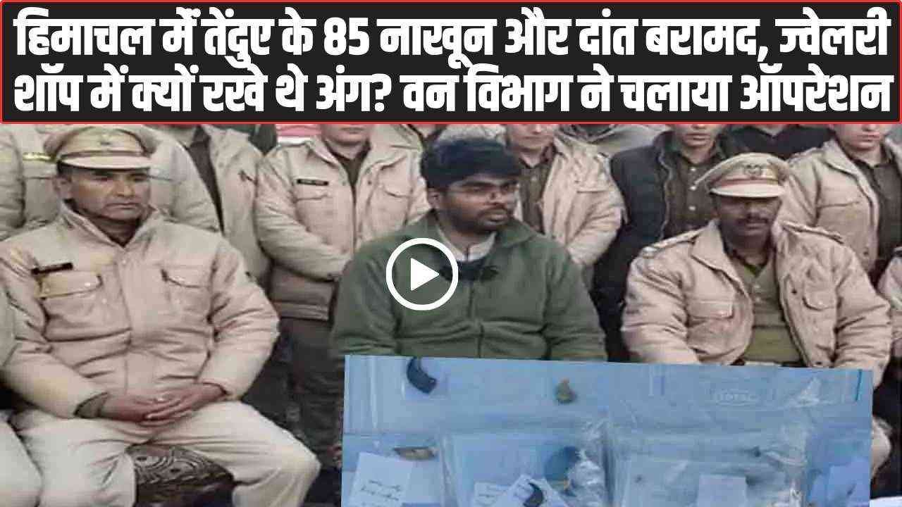 Himachal Wildlife Raid: